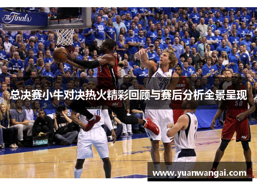 总决赛小牛对决热火精彩回顾与赛后分析全景呈现