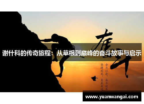 谢什科的传奇旅程：从草根到巅峰的奋斗故事与启示